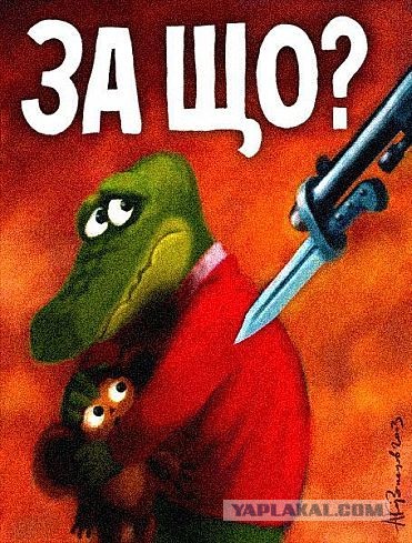 Крокодильчика?