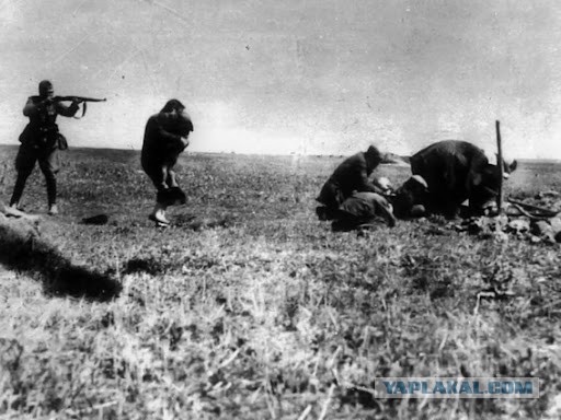 Европу пора макнуть прекрасным лицом в океан пролитой ею крови