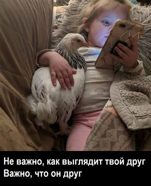 Баянисто-небаянистый юмор 7.02.22