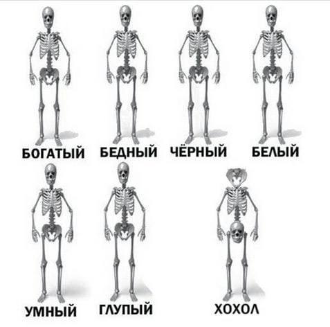 Юмор в картинках и без