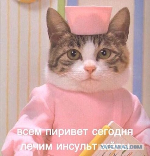 Патриоты