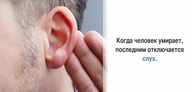 30 суровых фактов, которые пугают больше, чем фильмы ужасов
