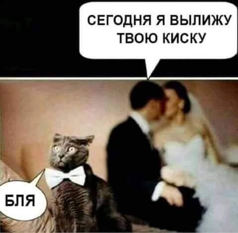 Хоспаде бозе