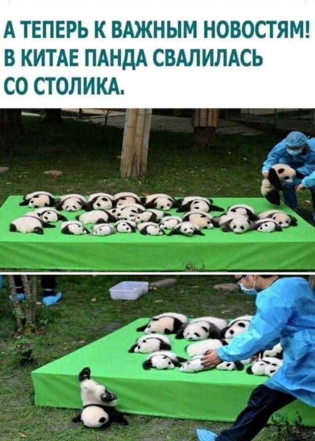 Картинки и мемы, всяко разно - 181