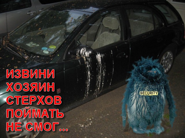 Деревенская Америка
