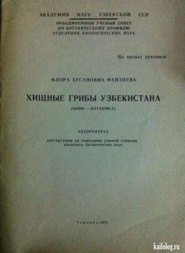 Немного забавных картинок от 2.10.2024