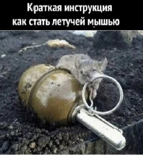 Картинки разные с надписями и без