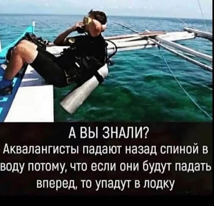 20105424.jpg