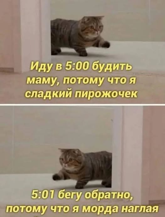 Пятничные бояны