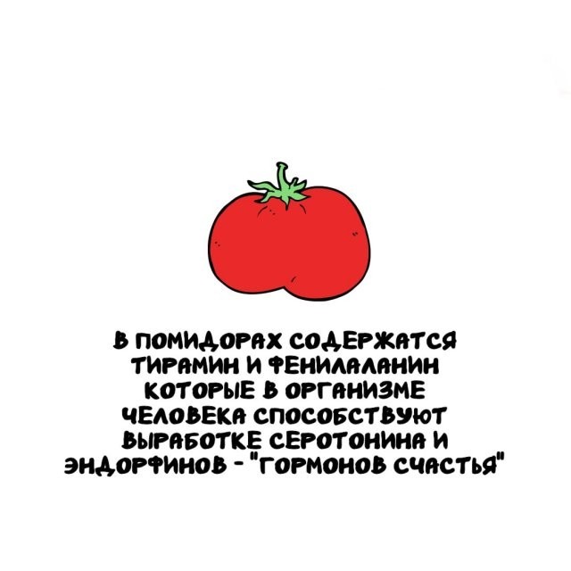 Подборка интересных фактов на все случаи жизни 26.11.25