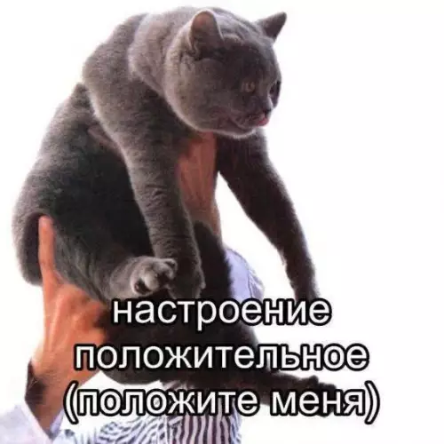 Картиночки, баянчики 19 февраля