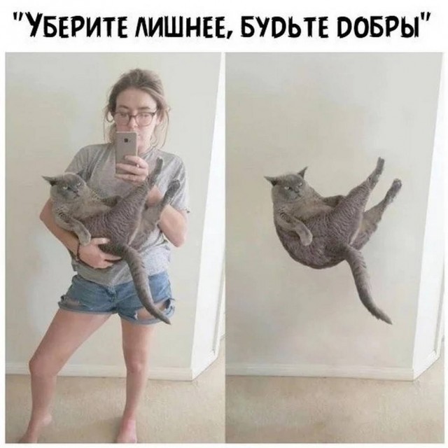 К котовторнику: подборка картинок-баянов с котиками и про котиков. Выпуск 38.