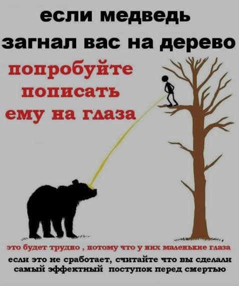 Как отпугнуть медведя - крепкий громкий и злой мат!