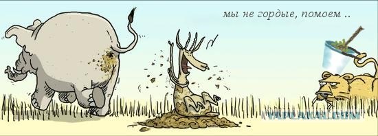 Испортил аппетит