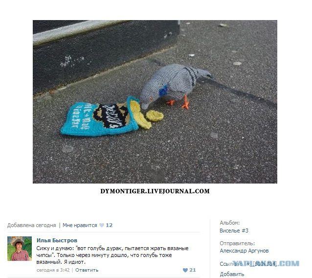 Смешные комментарии из социальных сетей