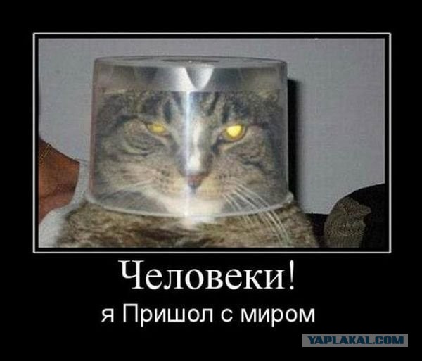 Без паники земляне