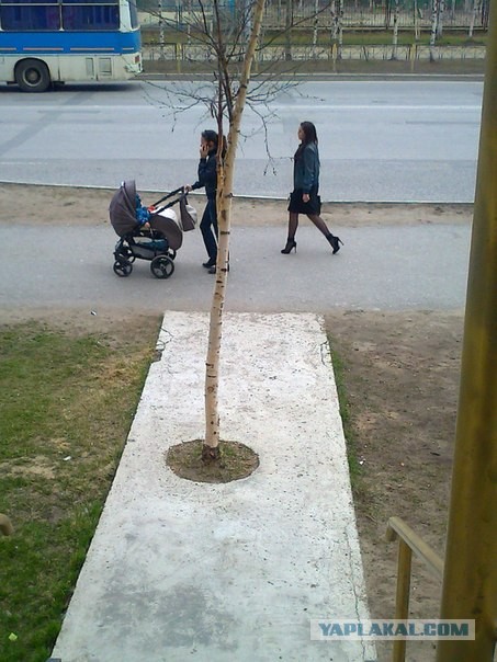 Мой Нижневартовск!