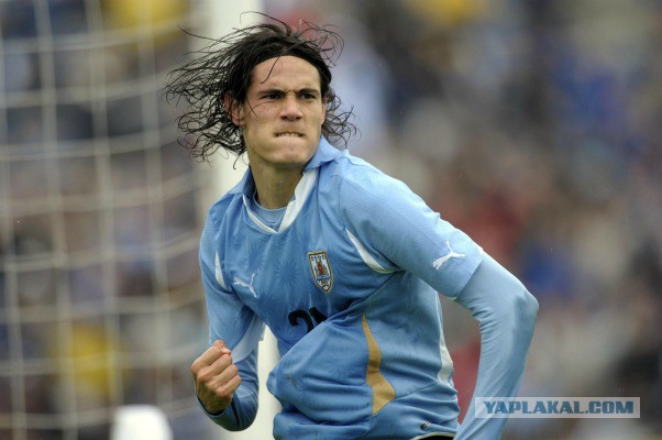 Чемпионат Мира 2014 Бразилия