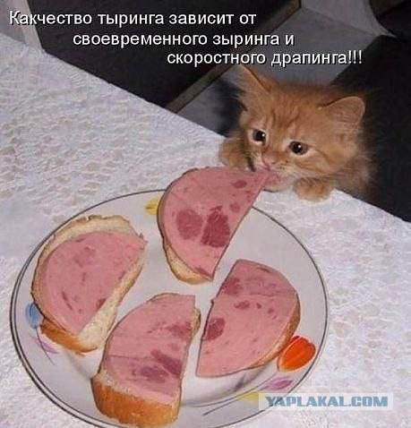 Смешные картинки с подписями 2