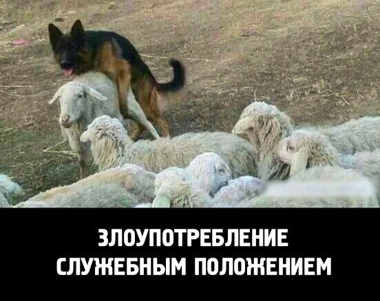 Подборка смешных картинок :)