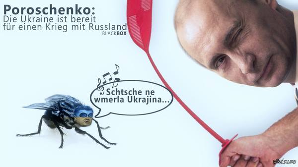 Не приползем и умолять не будем