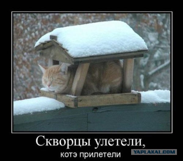 Дача для Шашлыков и Релакса