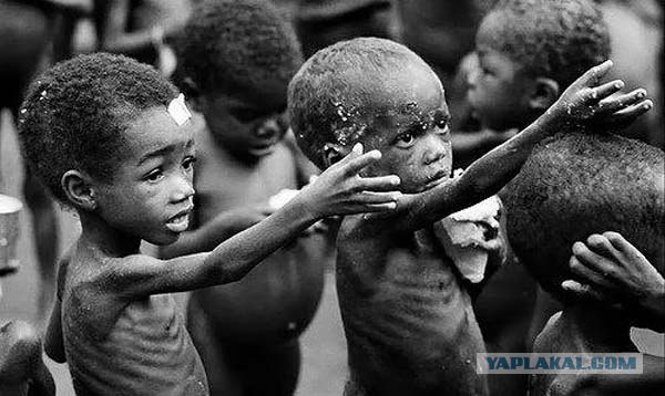 Последствия войны в Сирии