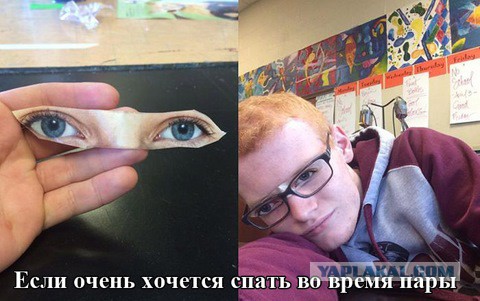Приколы из соцсетей