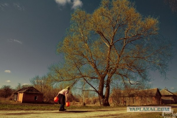 Фотопроект Best of Russia 2012