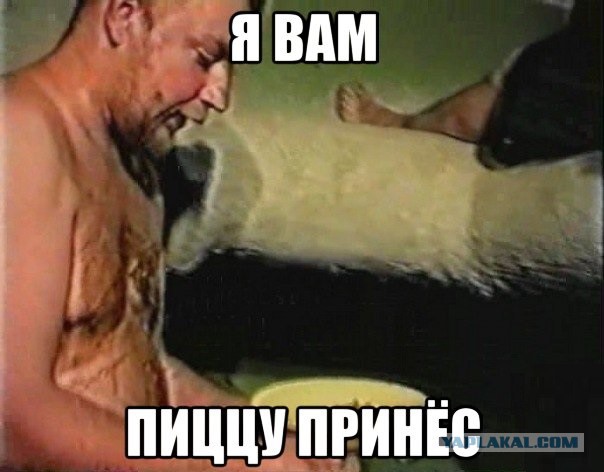 Тот самый буйный запильщик двери