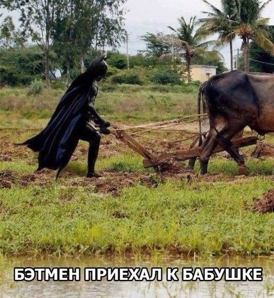 Позитив на воскресенье