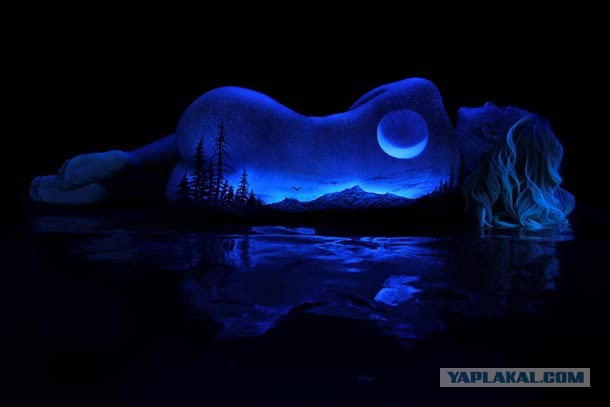 Картинки из сети