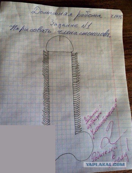 Записи в школьных дневниках