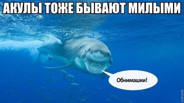 Прикольные и не очень картинки из сети