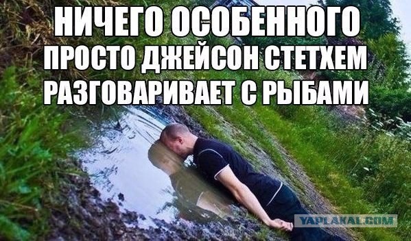 Просто 30 картинок из тырнета