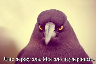 Света нет. Отключили.