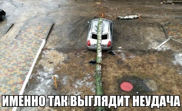 Есть смешные (картинки)
