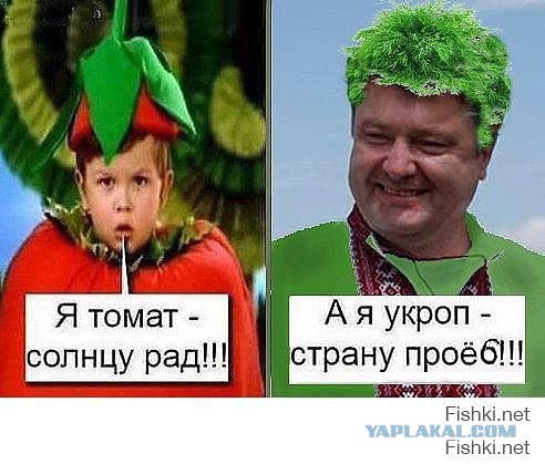 Смешные комментарии из социальных сетей 13.01.2017