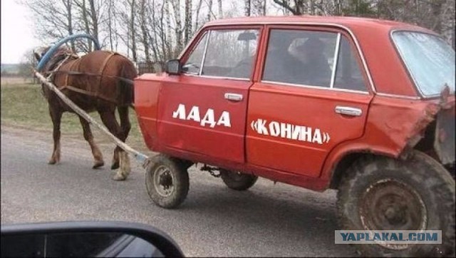 Подборка интересных и веселых картинок