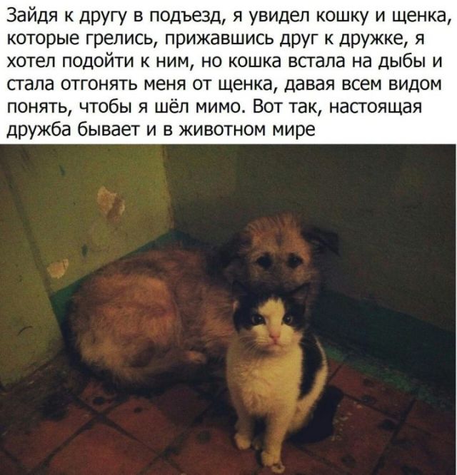 Подборка интересных и веселых картинок