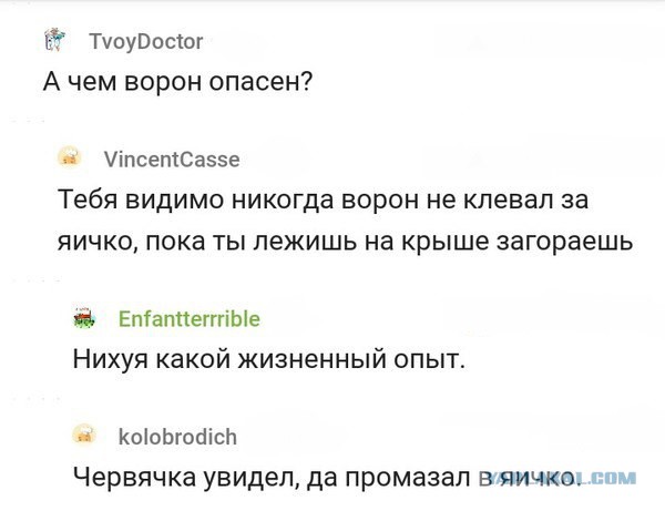 Ударная доза тупежа и деградации