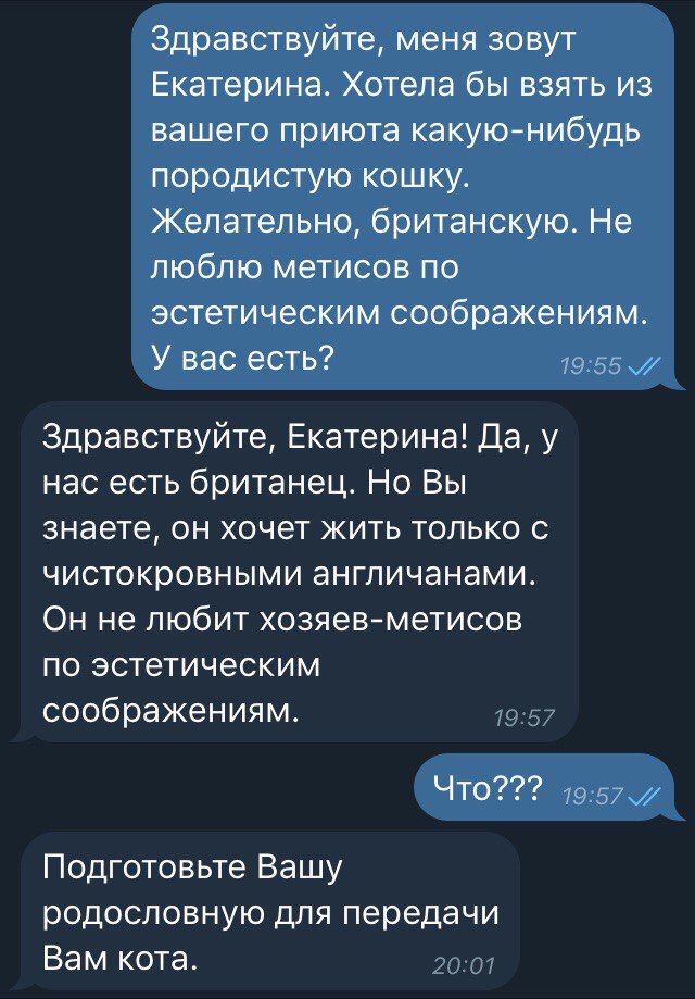 Смешные комментарии из социальных сетей 22.02.2018