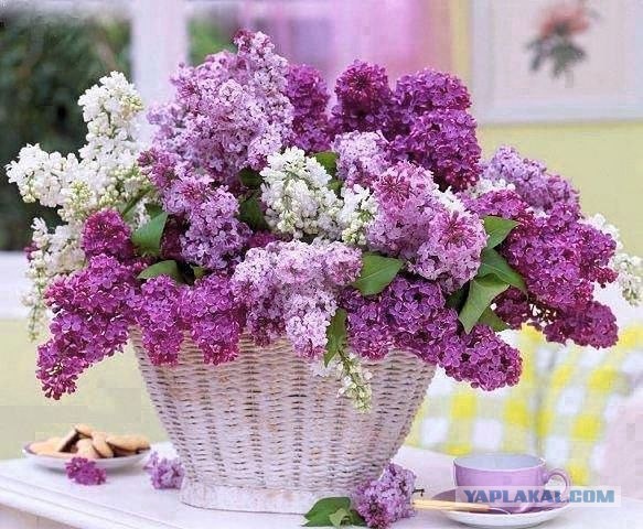 ЯПлакал woman style. 8 марта посвящается