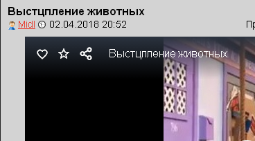 Сколько лет ушло на дрессировку?