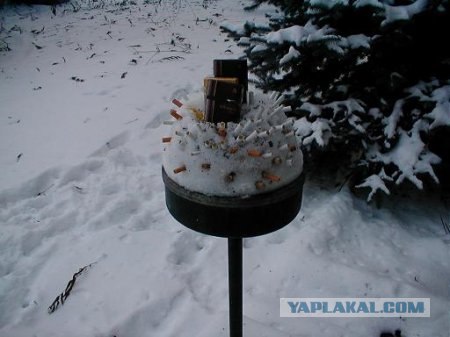 Йожиковторник на ЯПе