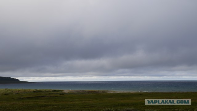 На море в шерстяных носках