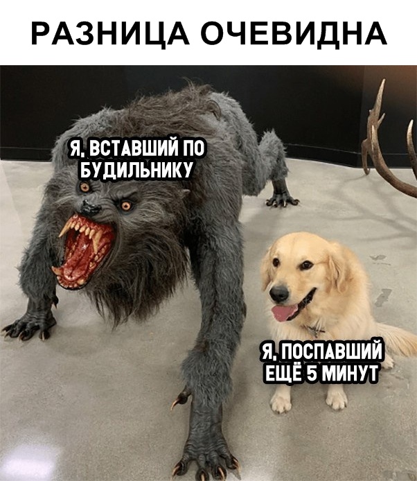 Нестандартный юмор