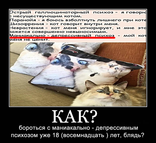 Картинки с надписями, истории и анекдоты