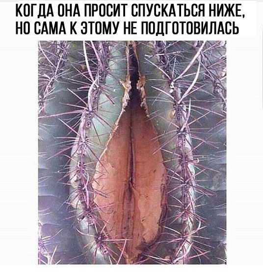 Я отстаю от жизни