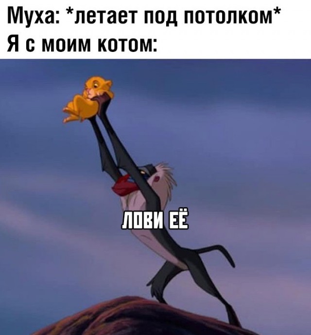 Просто 45 фоток